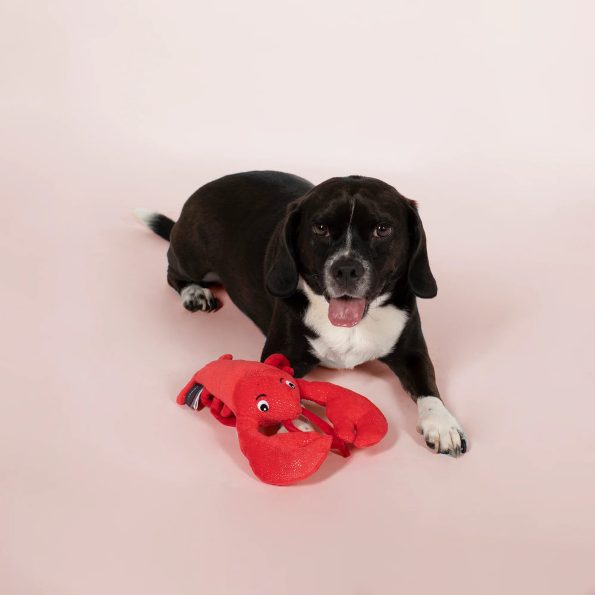 289646_Youre_My_Lobster_With_Dog