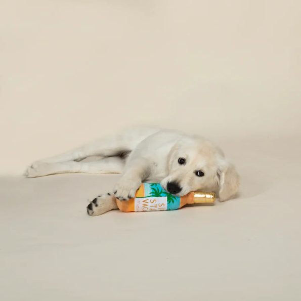 289863_Sip_Stay_Vacay_With_Dog_900x_d1d8cd93-8504-4d07-bd52-63ce420c3fa3