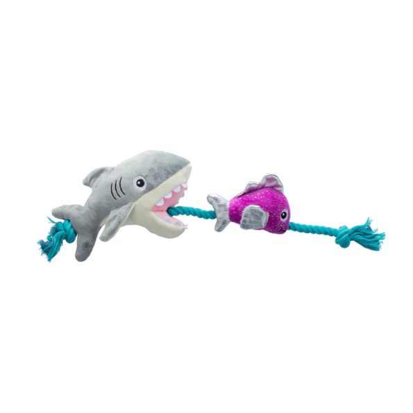 314289_SharkBait_PHOTO_WEB_900x_22f19f73-6902-4b8c-8b5b-9b0c0203653a