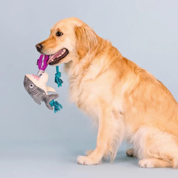 314289_SharkBait_PHOTO_WEB_with_dog_interactive_2_900x_bc8b5f95-07f3-4bbc-86d9-ffc75a477108