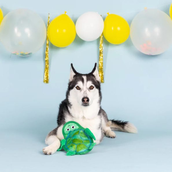 729109_Shell_of_Time_With_Dog_900x_ea2adeac-d60b-44b4-8822-4052c482537a