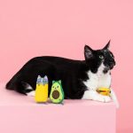 904034_KittyCravings_PHOTO_WEB_with_cat_interactive_1_900x_58f97b53-dd2b-406e-873b-8c085ec46a4f