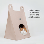 P22-00131-ToteBagStyleCatBedAndScratcher_800x800px_1-298222