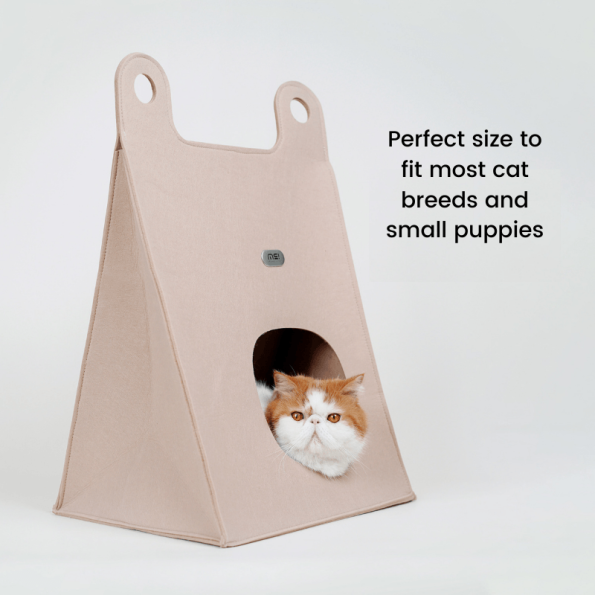 P22-00131-ToteBagStyleCatBedAndScratcher_800x800px-990073