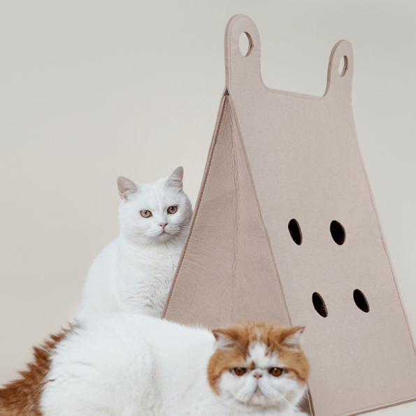 P22-00131-ToteBagStyleCatBedAndScratcher_800x800px_11-792709