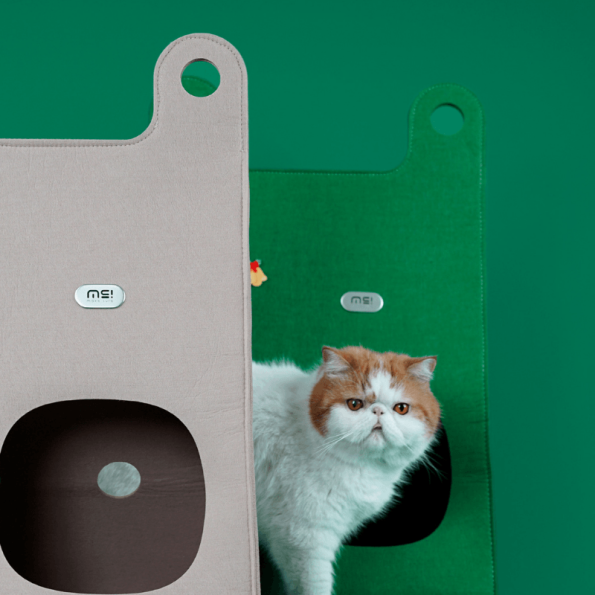 P22-00131-ToteBagStyleCatBedAndScratcher_800x800px_13-267614