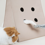P22-00131-ToteBagStyleCatBedAndScratcher_800x800px_1-298222