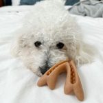 antler-3pc_001_1