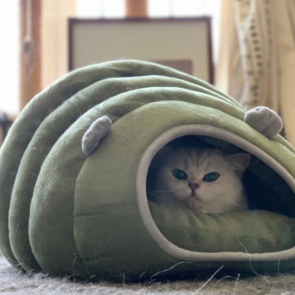 caterpillar-cat-cave-bed-higooga-303143