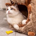 cozy-plush-farmhouse-cat-cave-bed-higooga-399676