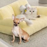 floating-cloud-sofa-for-pets-higooga-761360