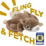 2021-tt-flying_squirrel-003