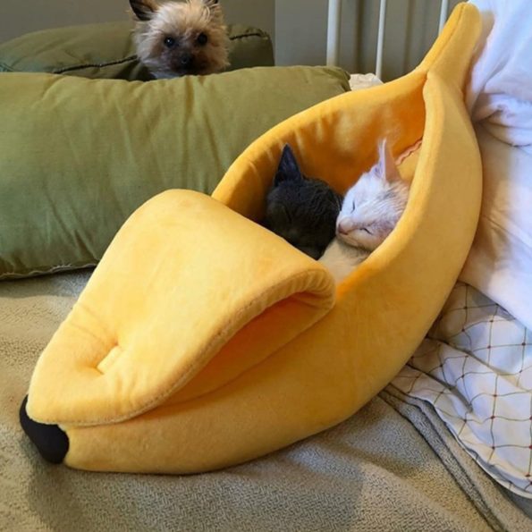 fully-covered-banana-cat-bed-higooga-747703