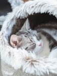 large-enclosed-soft-fleece-cat-bed-higooga-548983