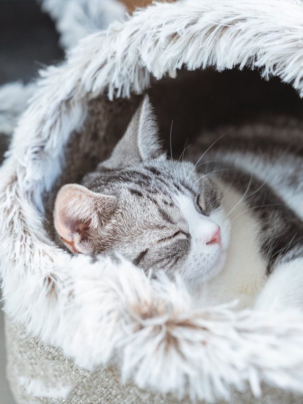 large-enclosed-soft-fleece-cat-bed-higooga-566871