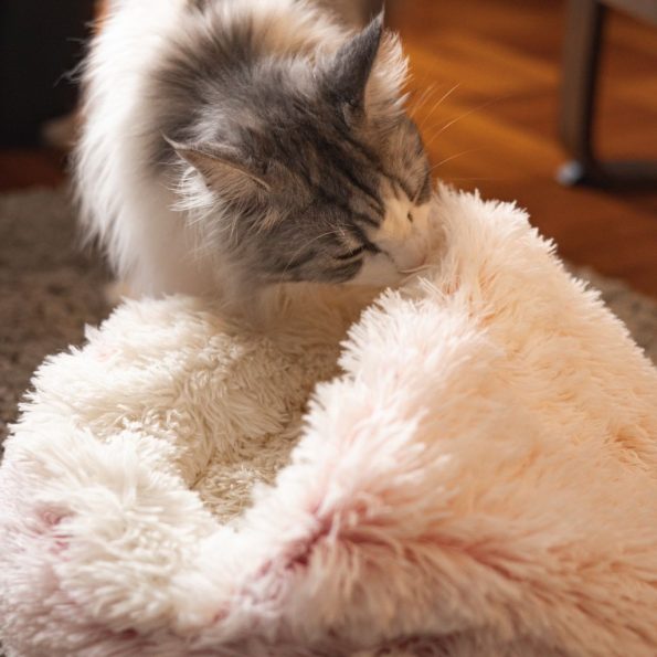 soft-plush-pet-cave-bed-for-medium-sized-cats-dogs-higooga-781282