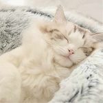 soft-plush-pet-cave-bed-for-medium-sized-cats-dogs-higooga-333088